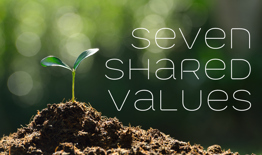 Seven Shared Values